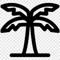 Palm, Tree, Floral, Plant icon svg