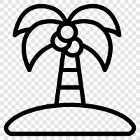 Palme, Baum, tropischen, Schaum symbol