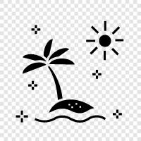 Palm, Tree, Palm Tree Nursery, Palm Tree Care icon svg