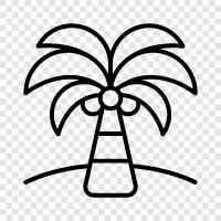 Palm Tree Plants icon