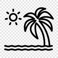 Palm, Tree, Ficus, Banyan icon svg