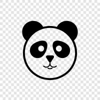 Panda Express, Panda Security, Panda Antivirus, Panda Cloud icon svg