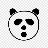 panda gift, panda party, panda facts, panda surprise icon svg