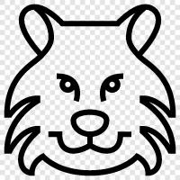 panther, cougar, big cat, wildcat icon svg