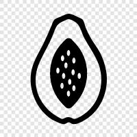 papaya fruit, papaya plant, papaya tree, Papaya icon svg