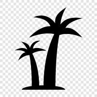 paradise, nature, beaches, resorts icon svg