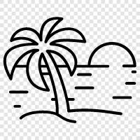 paradises, tropical, nature, lush icon svg