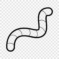 parasite, helminth, intestinal, intestinal worm icon svg