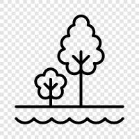 Parkland, Recreation Area, Forest, Park icon svg