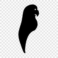 Parrot cages, parrot health, parrot food, parrot toys icon svg