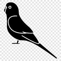 Parrot software, Parrot drones, Parrot AR.Drone 2, Parrot icon svg