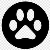 Paw Prints, Dog Prints, Cat Prints, Animal Prints icon svg