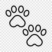 paw prints in snow, paw prints in sand, paw prints in mud, paw prints icon svg