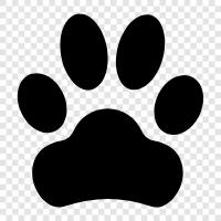 paw prints, print, canine, animal prints icon svg