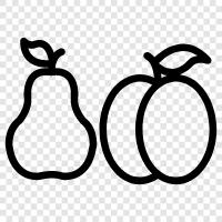 Peach, Pear, Pears, fruit icon svg