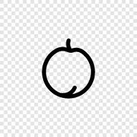 peach tree, peach fruit, peach crop, peach tree pruning icon svg