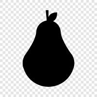 pear fruit, pear tree, pears, pears for sale icon svg