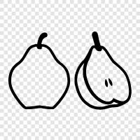 Pear fruit, pear tree, fruit, culinary icon svg