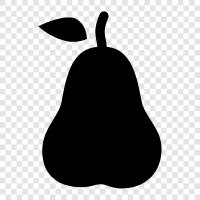 Pear fruit, Pear tree, Pears, Pears for sale icon svg