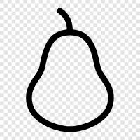 Pear harvest, Pear tree, Pear Harvesting, Pear fruits icon svg