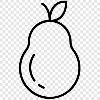 pear tree, pear fruit, pear growers, pear farming icon svg