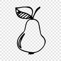 Pears, Pear Tree, Fruits, Fruit Trees icon svg