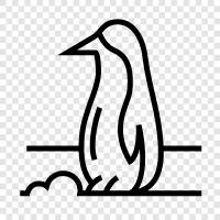 penguin book, penguin books, penguin publishing, penguin editions icon svg