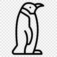 penguin, penguins, black, white icon svg