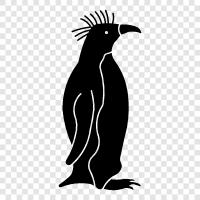 penguen, deniz kuşu, Humboldt penguen, rockhopper penguen ikon svg