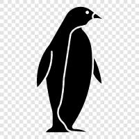 Penguin Random House, Penguin Books, Penguin Classics, Penguin Random House Canada icon svg