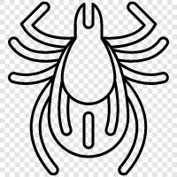 haşere, böcek, arthropod, küçük ikon svg