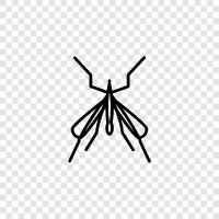 pest, disease, vector, mosquito net icon svg