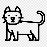 pet, house, toy, scratching post icon svg