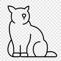 pet, house, meow, purr icon svg