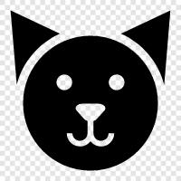 pet, house, sleep, purr icon svg