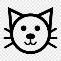 pet, animal, house, living icon svg