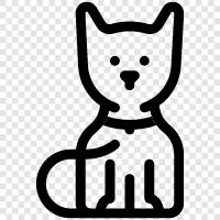 pet, house, kitty, cute icon svg