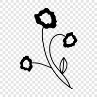 petal, blossom, güzellik, fragrance ikon svg