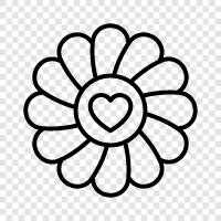 petal, blossom, fragrance, beauty icon svg