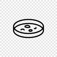 petri dish, petri dish experiment, petri dish microbe, petri icon svg