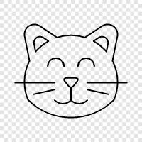 pets, kittens, house, furniture icon svg