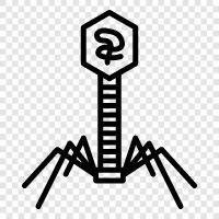 phage, viruses, bacteria, virus icon svg