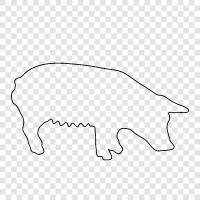 Pig, Swine, Farm Animal, Hog icon svg