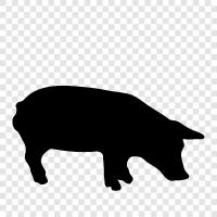 Pig, Farm Animal, Animal Farm, Animal Husbandry icon svg