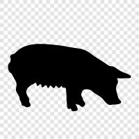 Pig Female, Pig Farm, Pig Breeding, Pig Farming icon svg