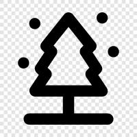 pine forest, pine trees for sale, pine tree seedlings, pine trees icon svg