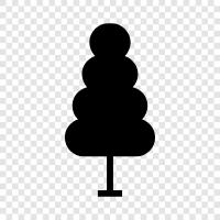 pine, tree, tall, needles icon svg