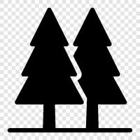 Pine Forests, Pine Trees, Forests, Trees icon svg