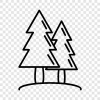 pine, trees, forest, Christmas icon svg