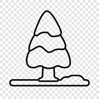 pine, fir tree, Christmas tree, needles icon svg